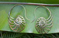 Sea Shell Brass Earrings