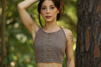Cedar Top