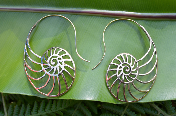 Sea Shell Brass Earrings